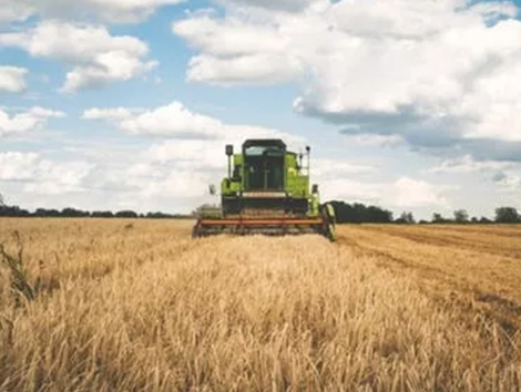 有机肥产业即将大爆发、未来趋势，千万